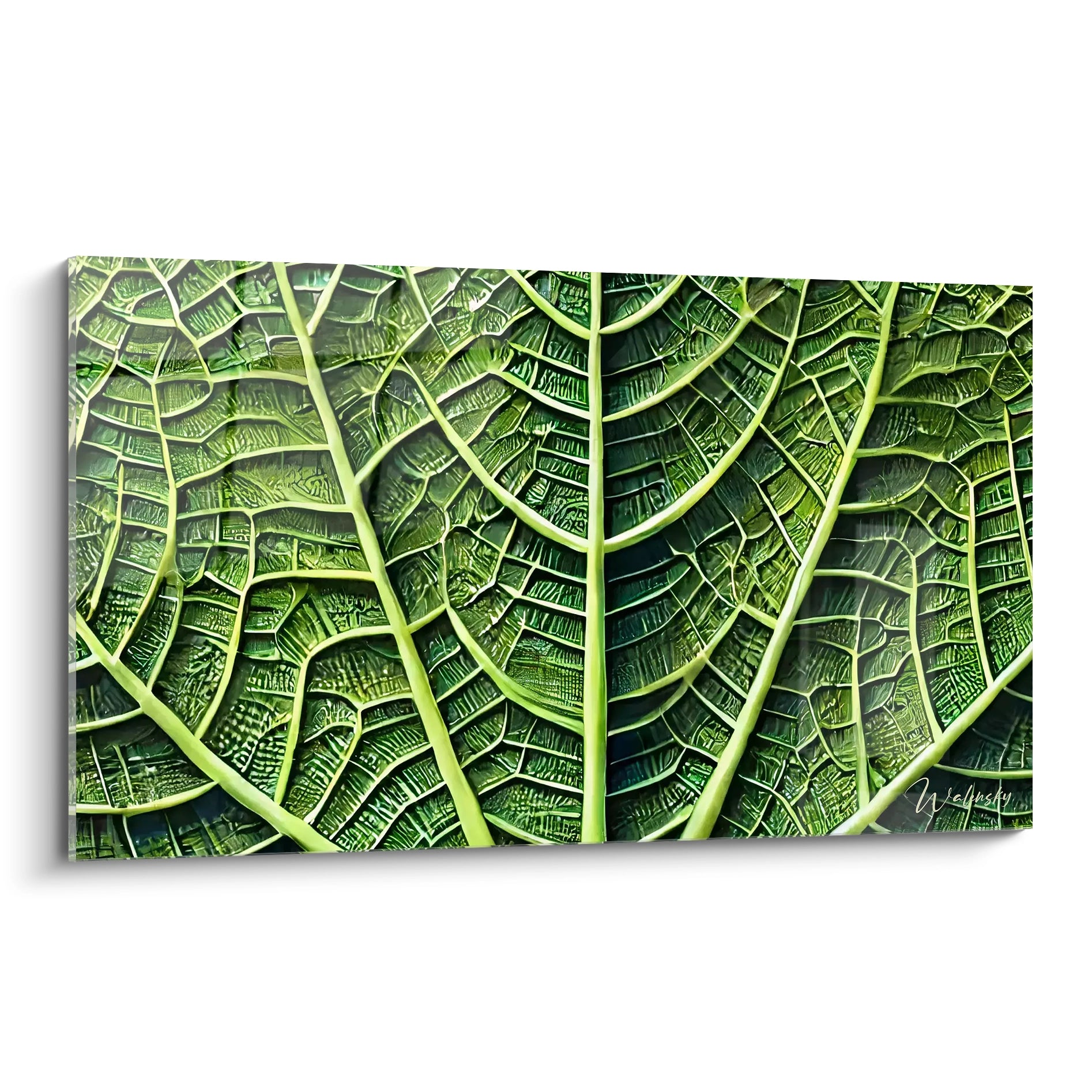 Tableau Nature en verre acrylique de grande taille - Vue principale en biais sur fond blanc - Art mural inspiré par la nature - Décoration intérieure écologique et élégante - Qualité supérieure et impression haute résolution - Tableau géant pour décoration de maison