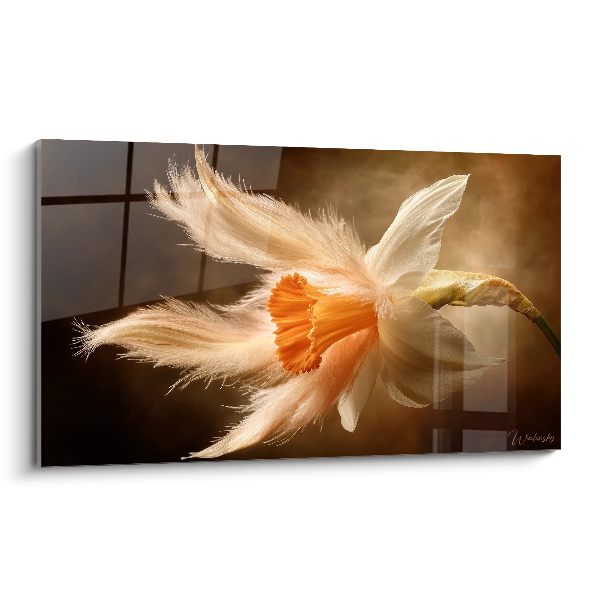 Un tableau Narcisse nature montrant une fleur blanche et orange avec des pétales texturés, imitant des plumes. Fond marron et beige diffus avec un effet de lumière douce et vaporeuse.

