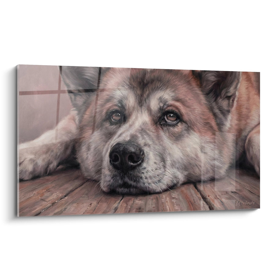 Tableau Chien Allongé aux Tons Chauds - Regard Mélancolique - Edition Akita Inu