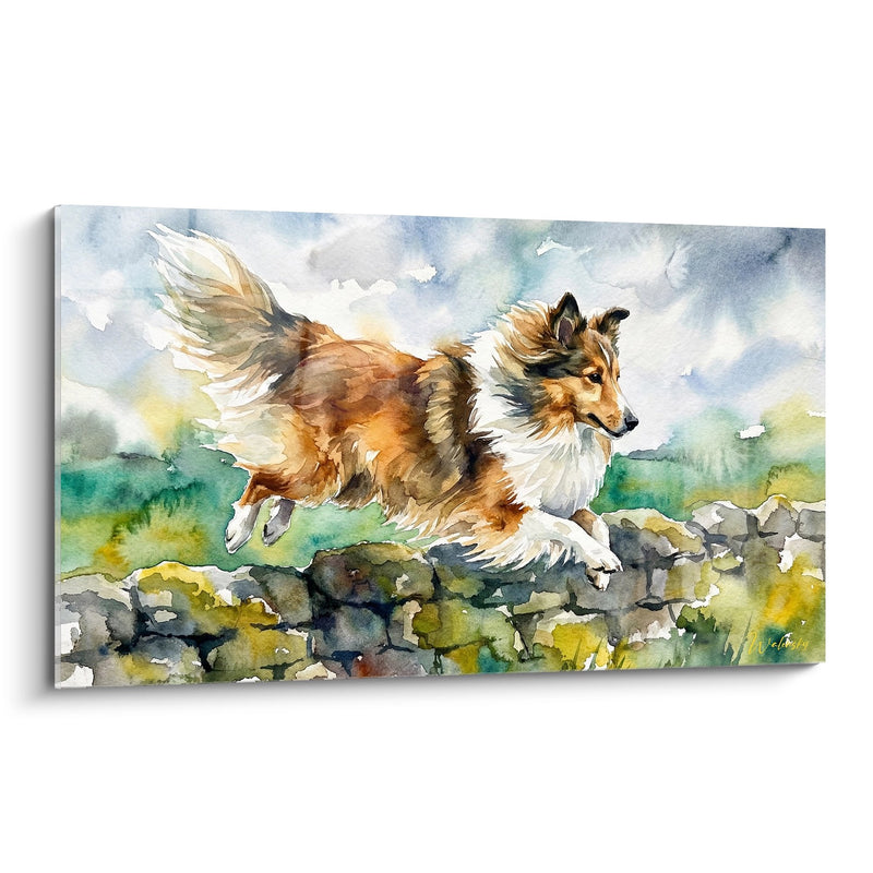 Bild Shetland-Schäferhund in Bewegung in Aquarelllandschaft - Pastorale Dynamik - Shetland-Schäferhund Edition
