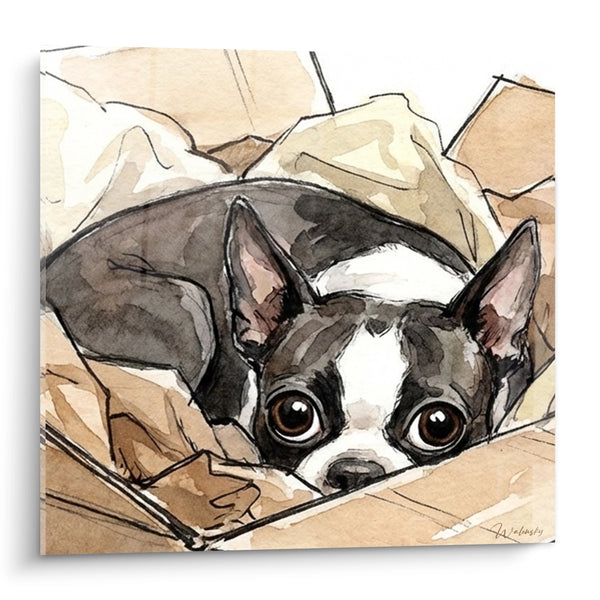 Cuadro de Boston Terrier Recostado en una Caja - Refugio de Ternura - Edición Boston Terrier