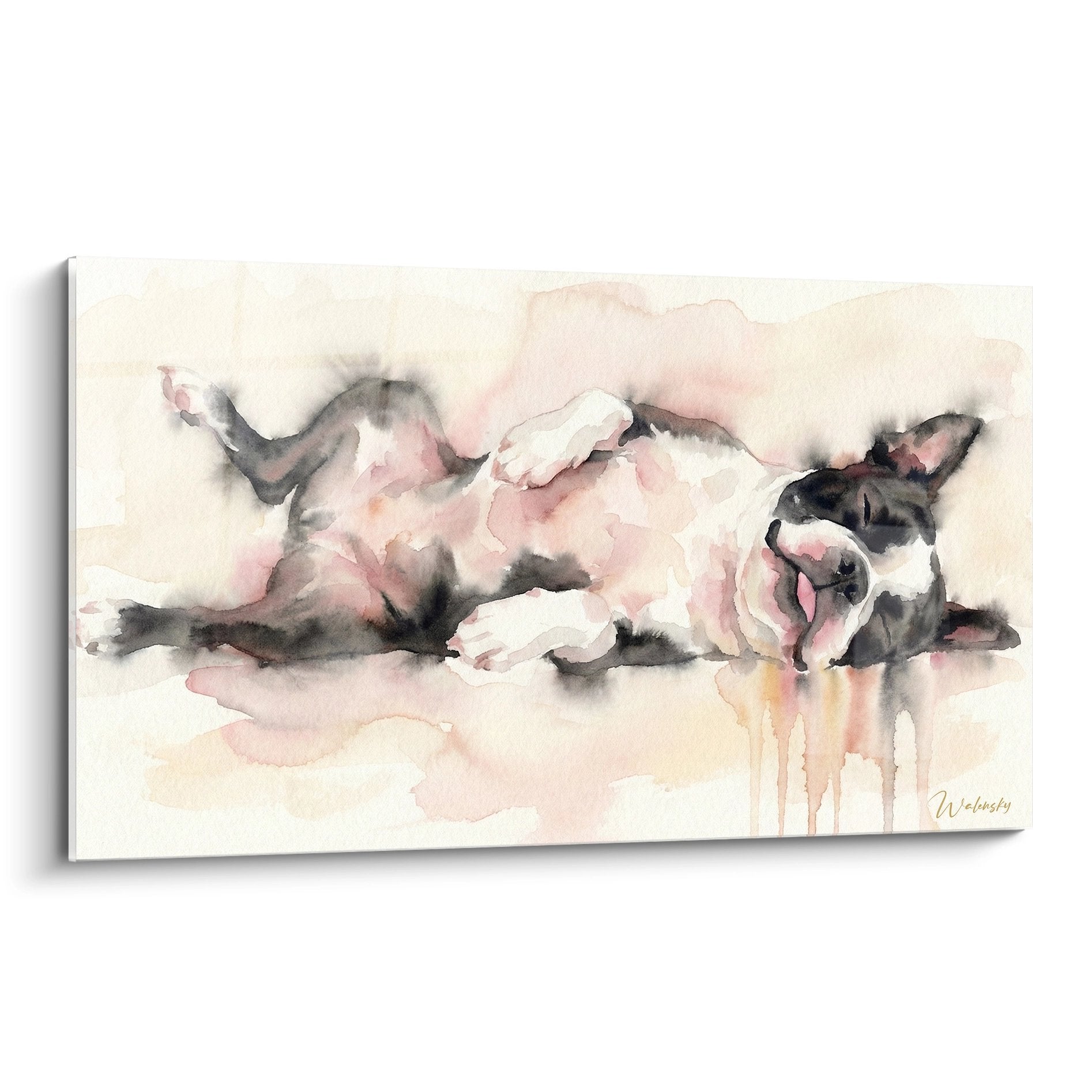 aquarelle boston terrier rose gris repos allonge technique coulures tableau mural decoratif