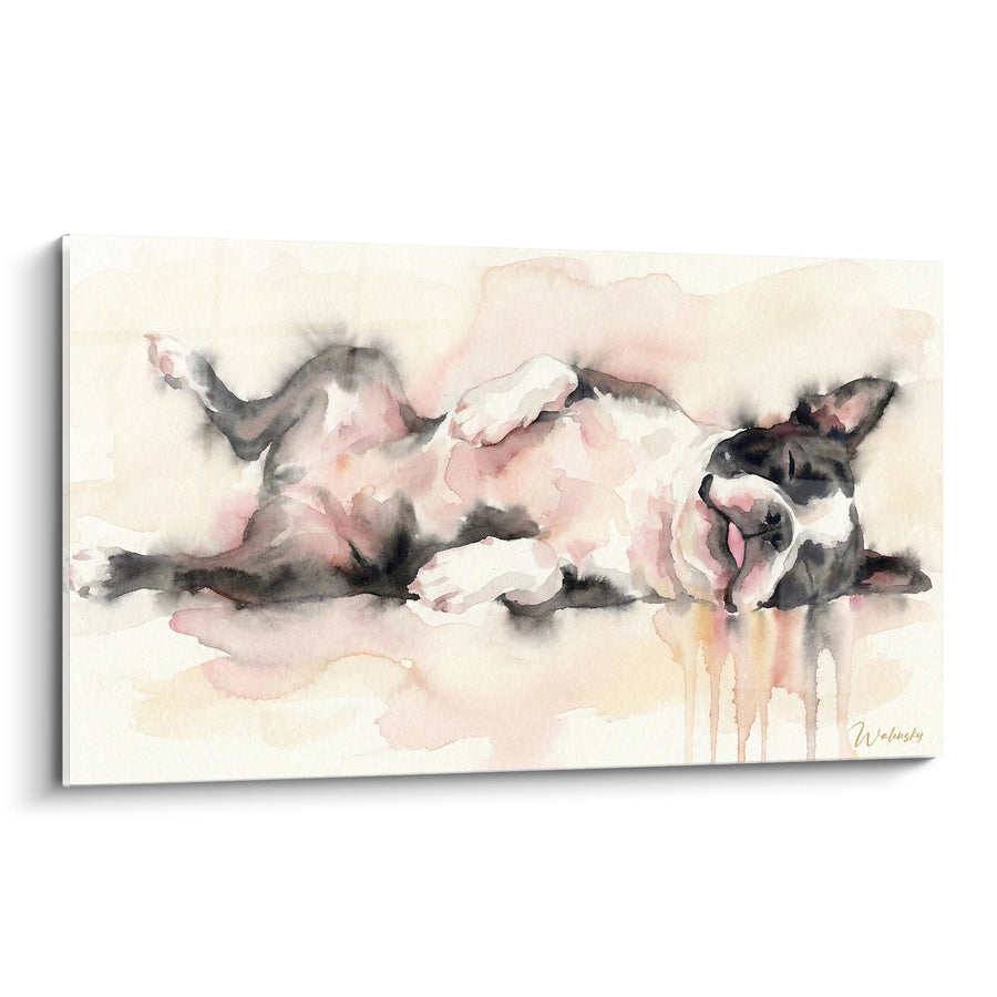 Tableau Boston Terrier Aquarelle Rose et Gris - Repos Tendre - Edition Boston Terrier