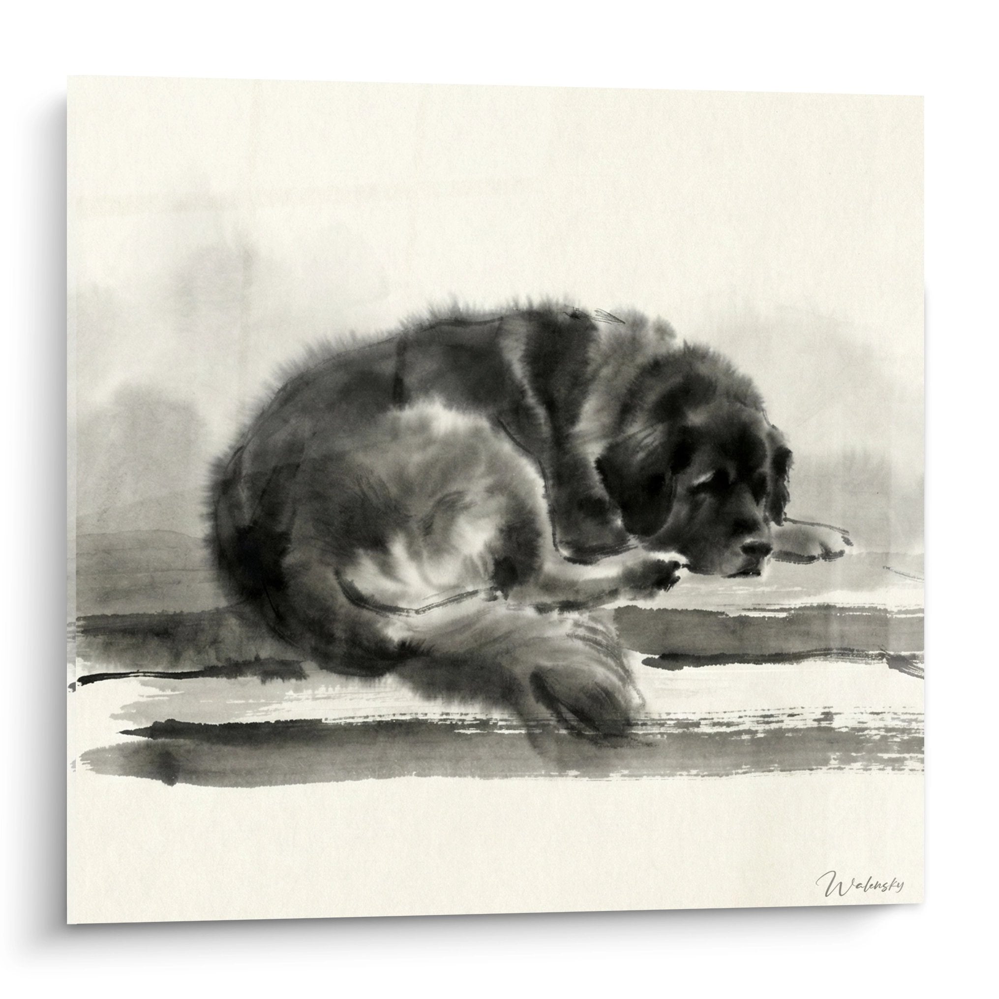 aquarelle chiot leonberg gris noir et blanc endormi position recroqueville art canin