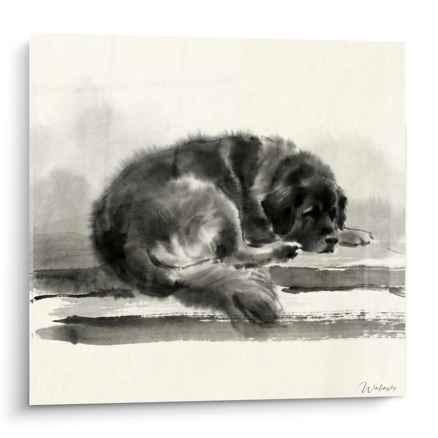 Tableau Chiot Leonberg Aquarelle Noir et Blanc - Tendresse Canine - Edition Leonberg