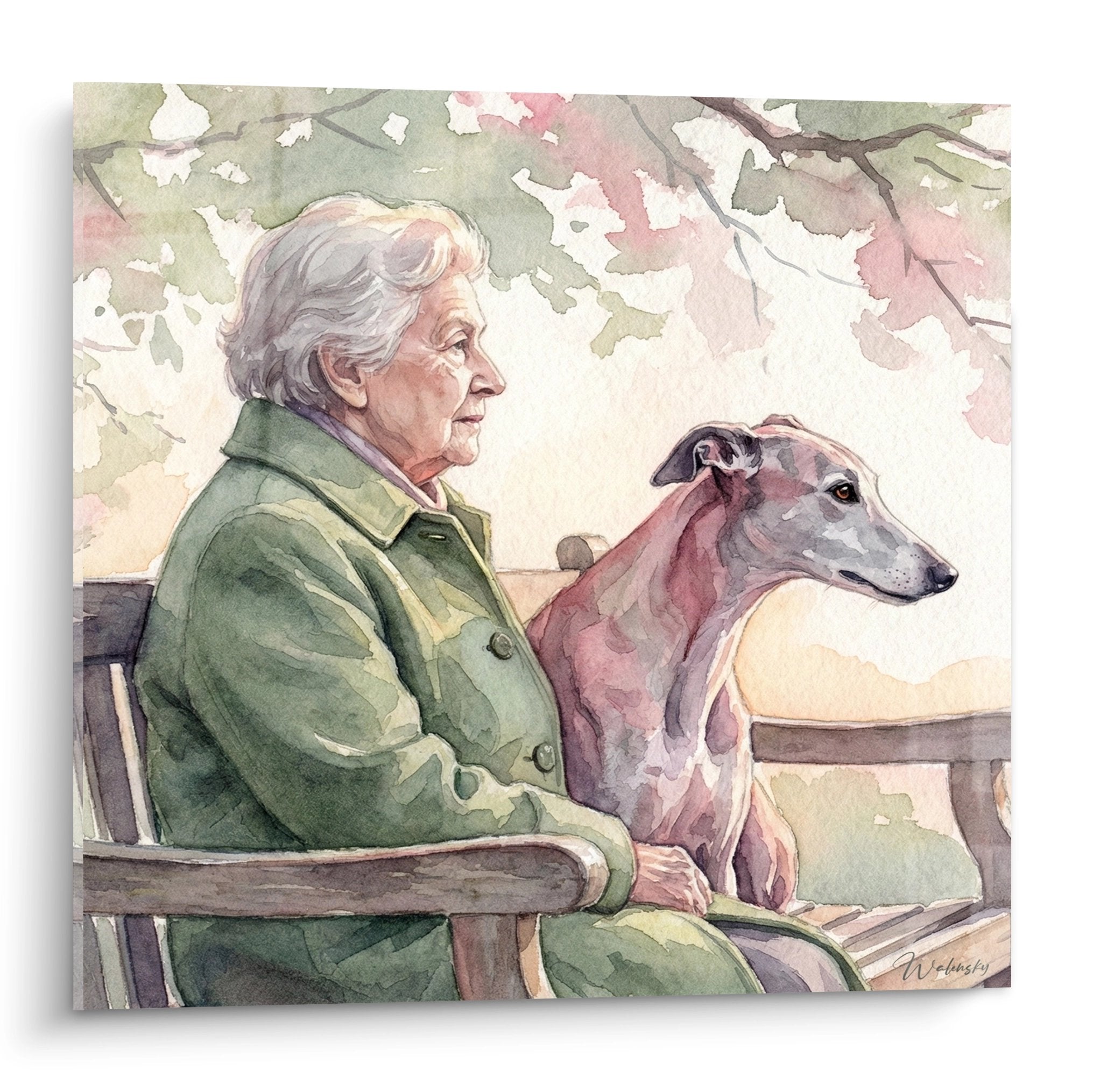 Aquarelle dame âgée et lévrier greyhound sur banc tons pastel roses et verts