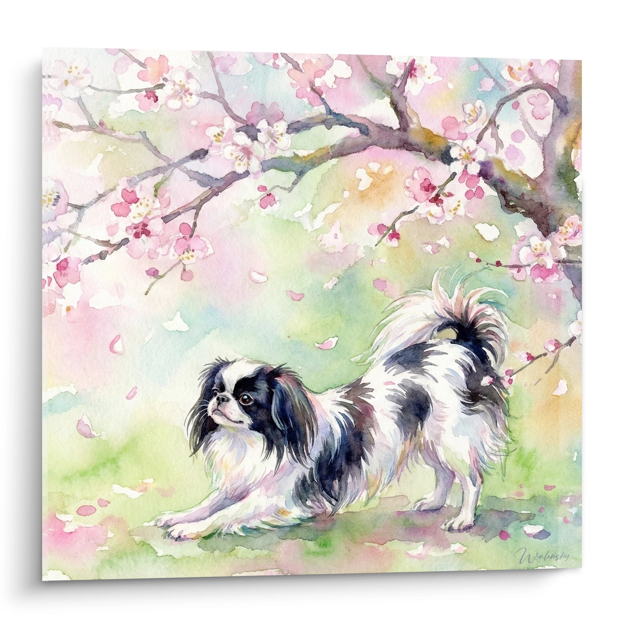 Aquarelle epagneul japonais noir blanc sous cerisiers fleurs roses petales tombants style japonais