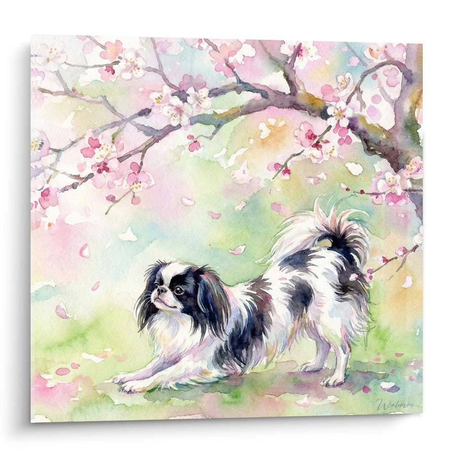 Tableau Aquarelle Chien Noir et Blanc sous Cerisiers en Fleurs - Douceur Printanière - Edition Epagneul Japonais
