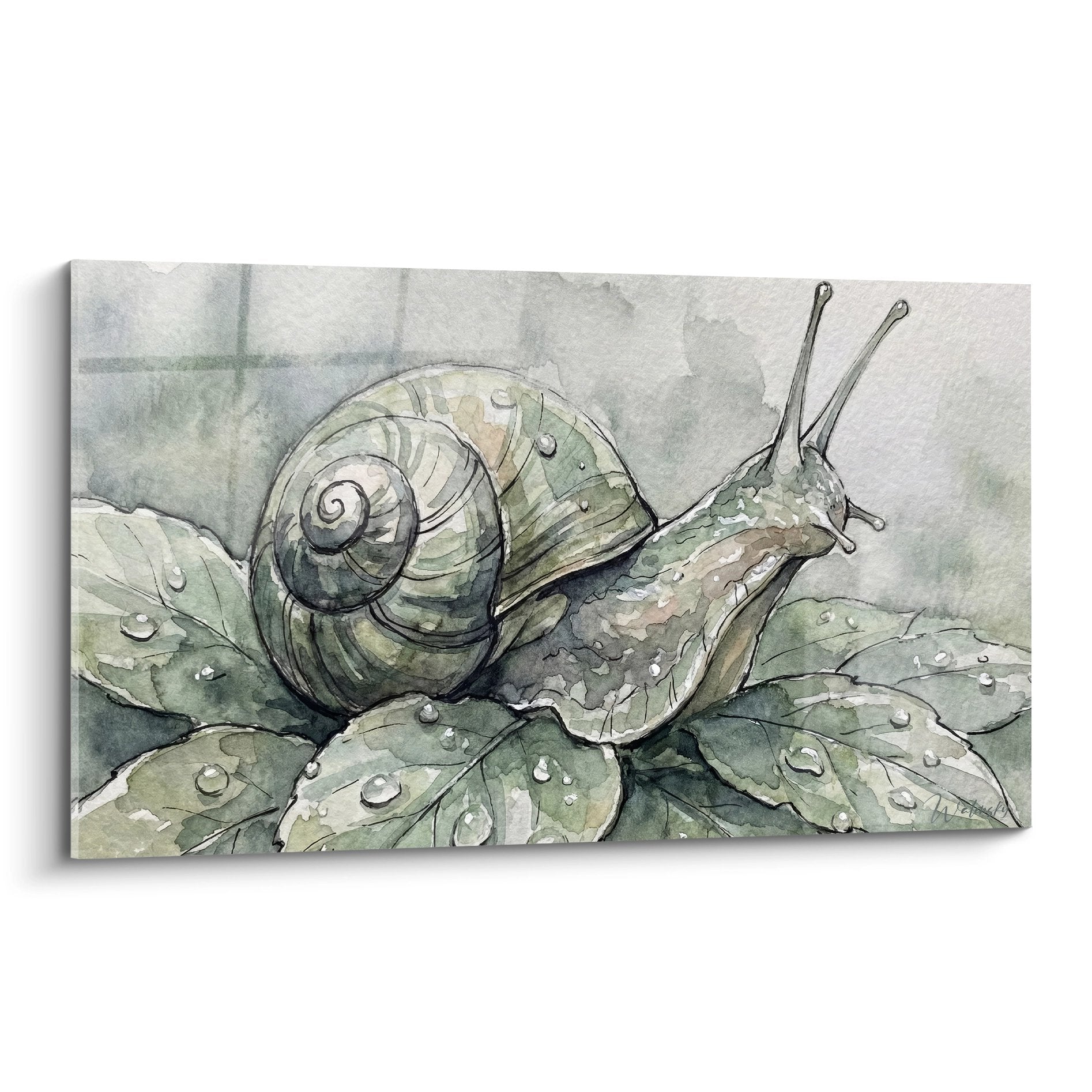 Aquarelle escargot sur feuilles vertes avec gouttes rosée, tons naturels beiges et verts, style botanique délicat