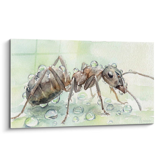 Ameisen-Kunstdruck Aquarell mit Braun- und Grüntönen und Wassertropfen - Insekt in Bewegung - Ameisen Edition