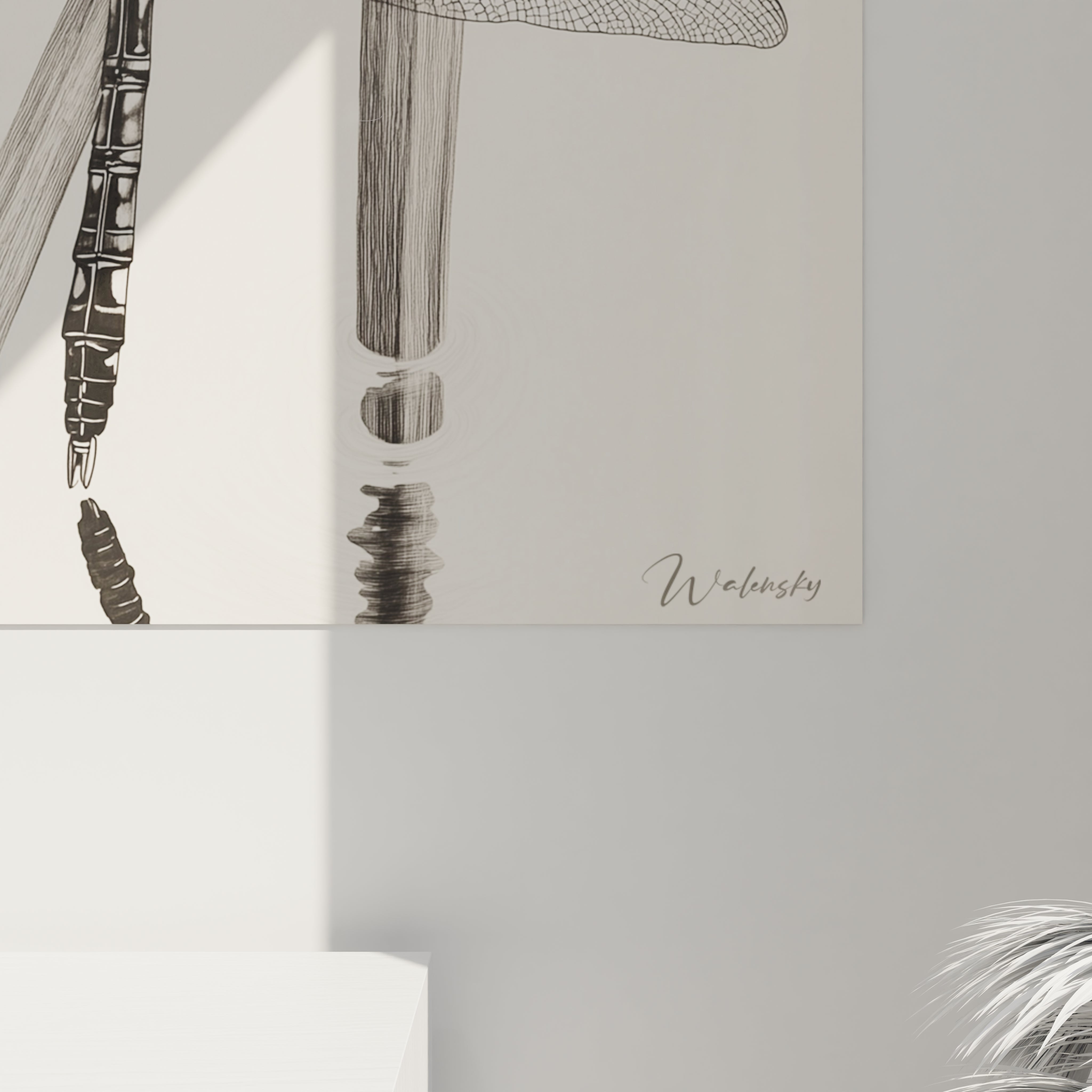 Tableau libellule Walensky en noir et blanc avec détails artistiques suspendu sur un mur blanc