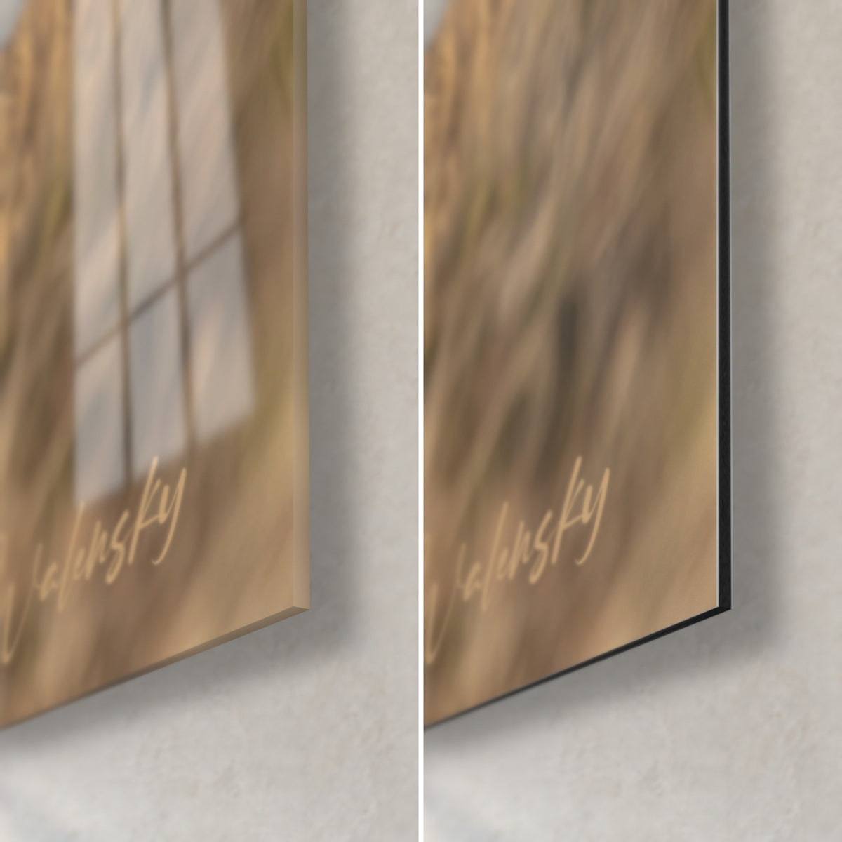 Wall art Dutch Shepherd, soft beige-golden grasses on glossy glass with window reflections, 3 mm black edge of matte Dibond