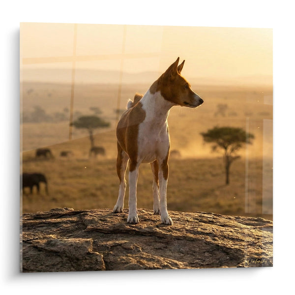 Basenji-Hundegemälde bei Sonnenuntergang auf Felsen - Goldene Wachsamkeit - Basenji Edition