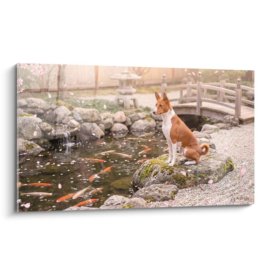 Tableau Chien Roux et Blanc au Bord de l'Étang - Sérénité Zen - Edition Basenji