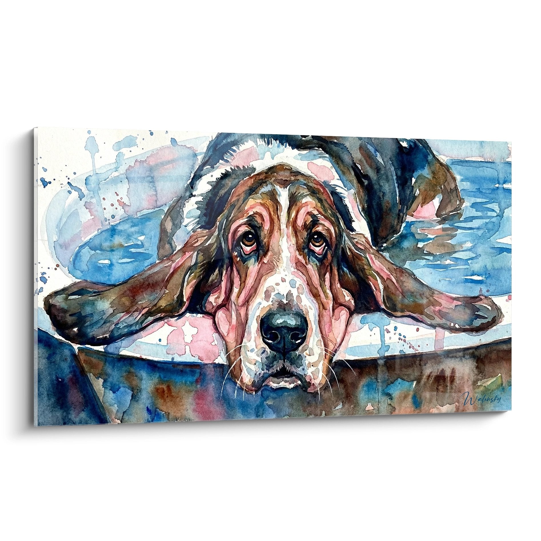 Portrait aquarelle d'un Basset Hound aux yeux mélancoliques partiellement immergé dans l'eau aux tons bleus et roses