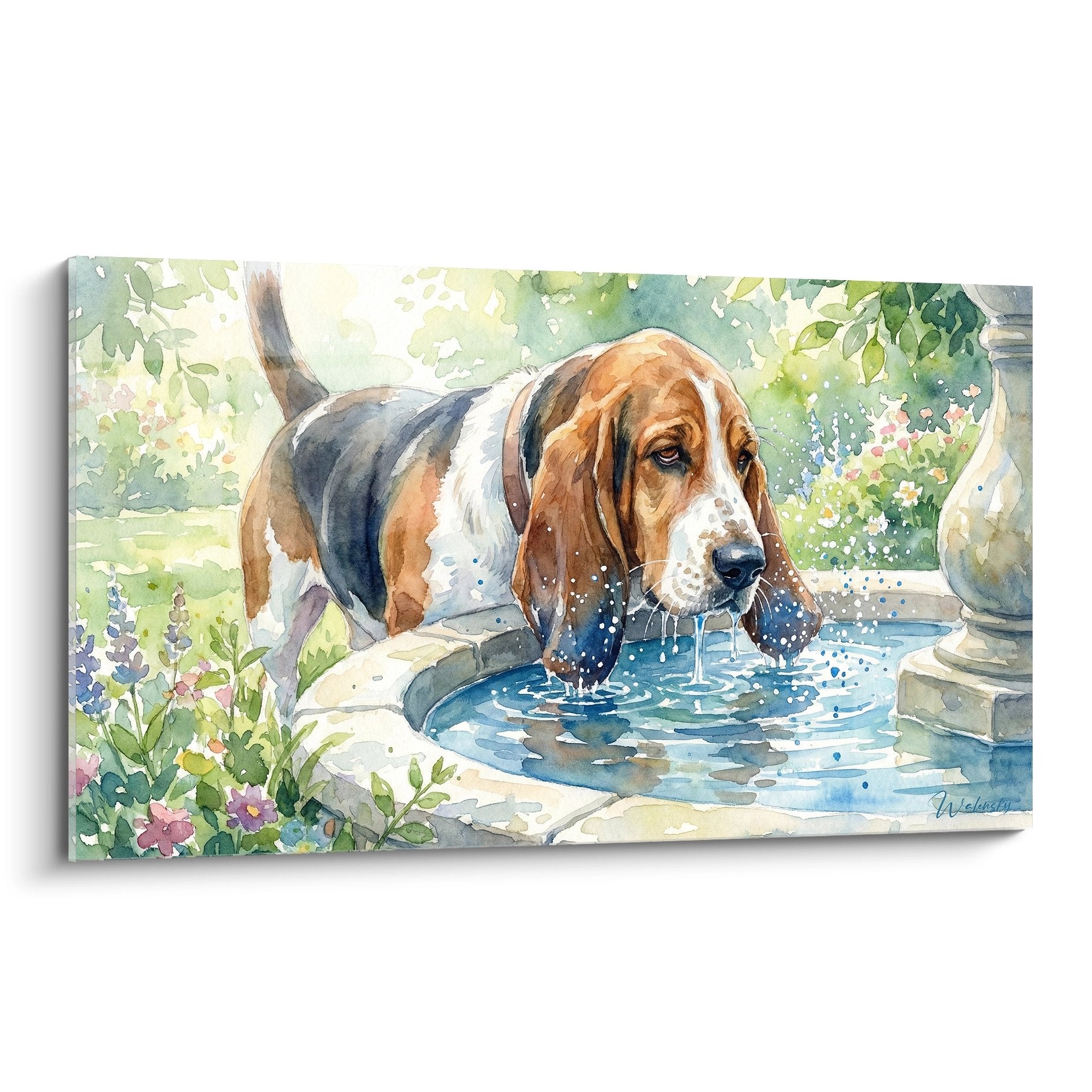 Aquarelle Basset Hound buvant fontaine jardin tons ocre vert eau eclaboussures