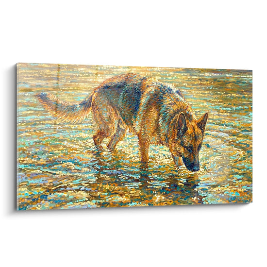 pastore tedesco in acqua dorata riflessi luminosi quadro arte animale