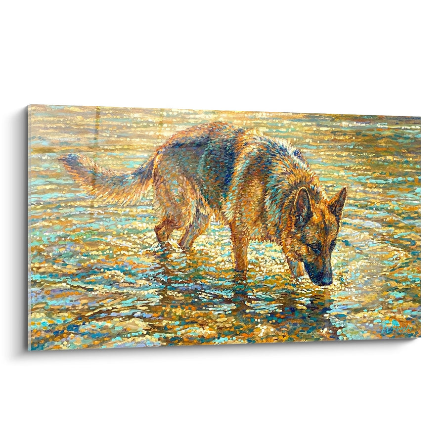 Tableau Berger Allemand dans l'Eau Dorée - Reflets Aquatiques - Edition Tableau Berger Allemand