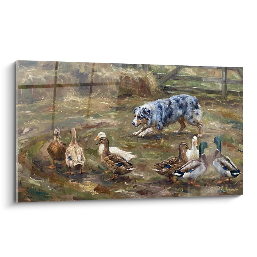 Obraz Pasterza Owczarka Australijskiego Błękitnego Merle i Kaczki z Farmy - Scena Pastoralna - Edycja Miniaturowego Pasterza Amerykańskiego