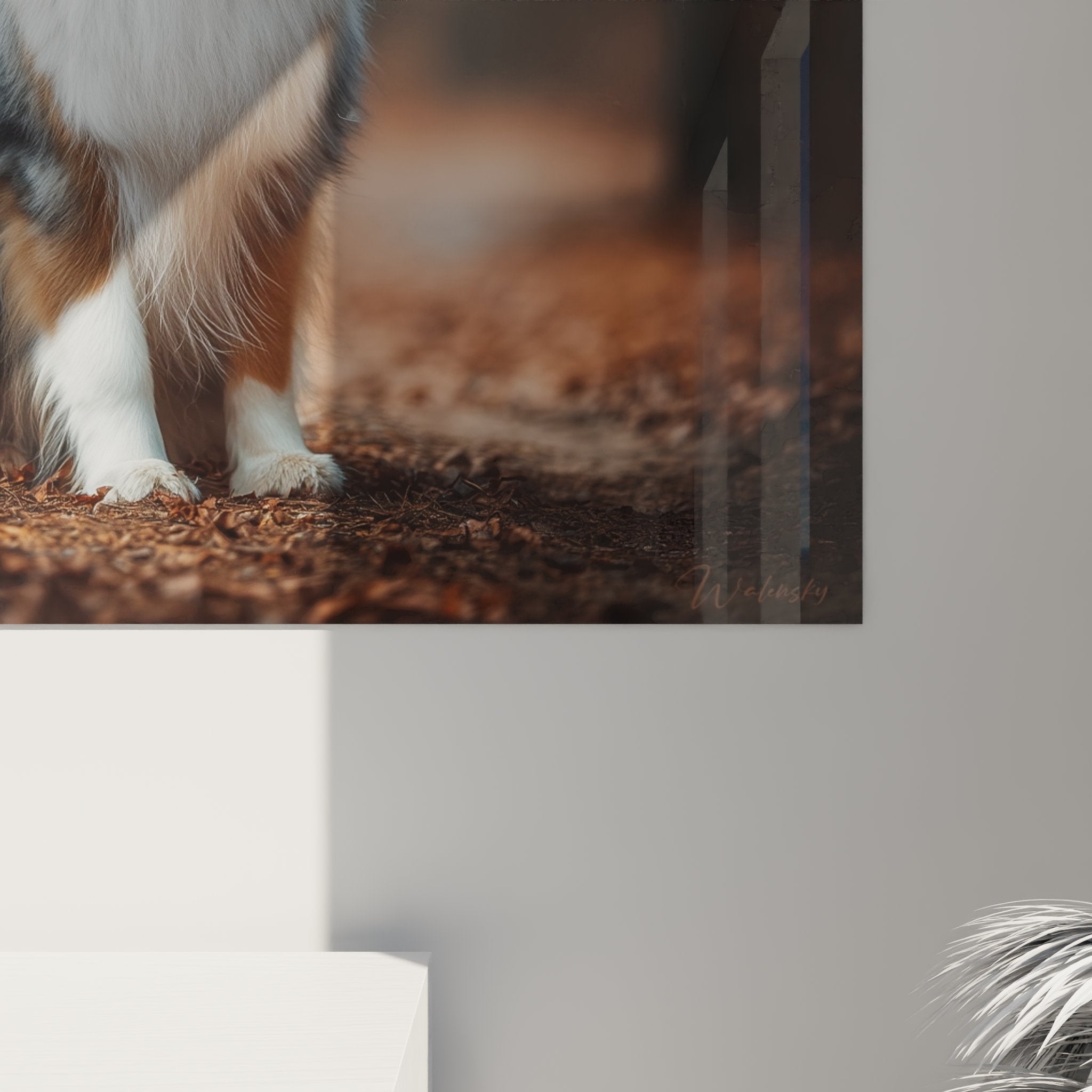 Overview of Australian Shepherd Canvas in cosy interior, warm atmosphere with autumn tones and wooden furniture