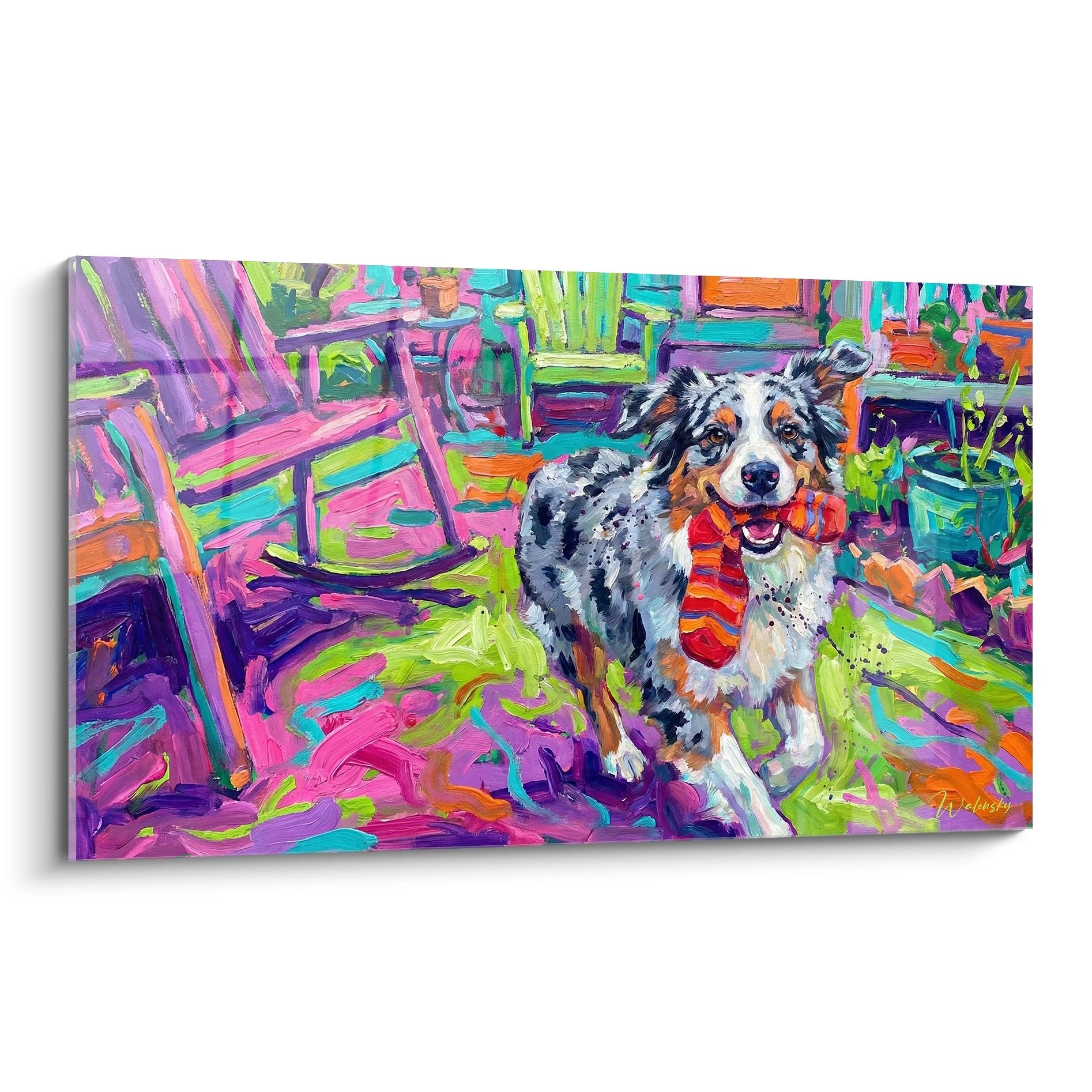 tableau coloré berger australien chaussette rouge peinture artistique multicolore