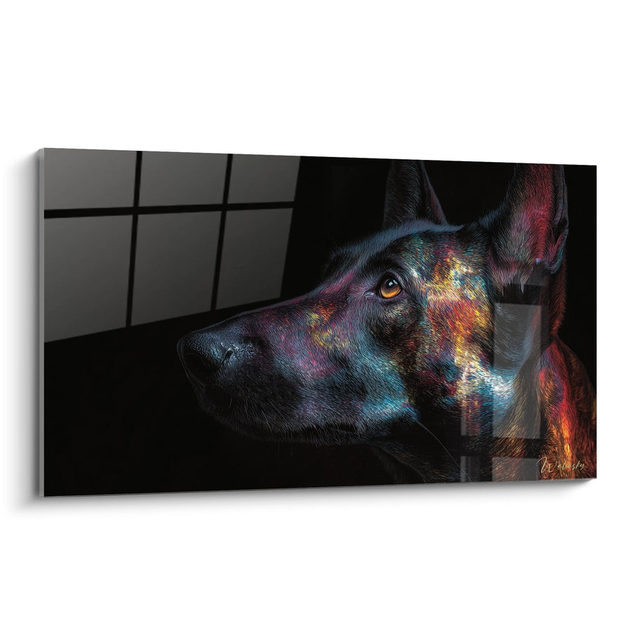 Tableau Berger Belge Malinois aux Reflets Irisés - Portrait Prismatique - Edition Berger Belge Malinois