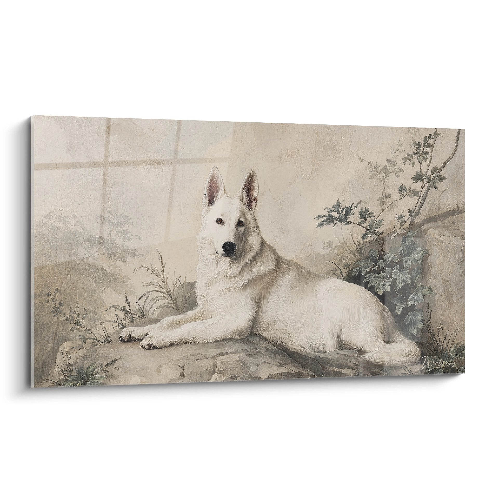 Tableau Berger Blanc Suisse allongé sur rocher dans paysage naturel aux tons beiges et ocre
