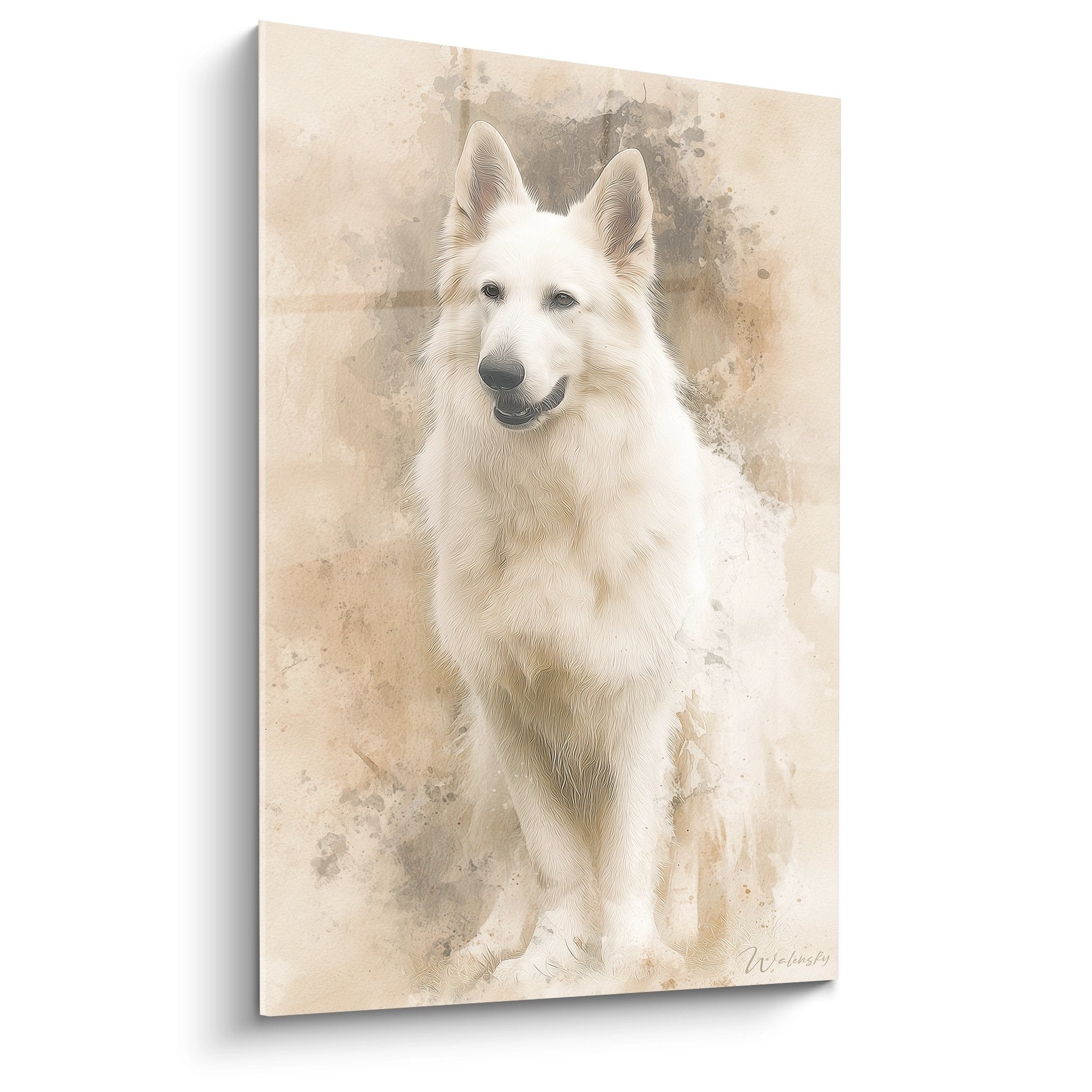 Portrait aquarelle Berger Blanc Suisse aux tons beiges et ocre sur fond dégradé