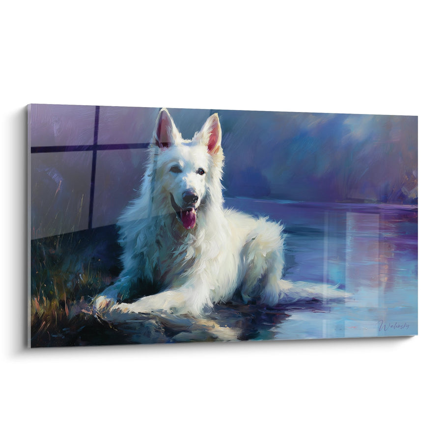 Tableau Berger Blanc Suisse Allongé aux Reflets Bleus - Sérénité Aquarelle - Edition Berger Blanc Suisse