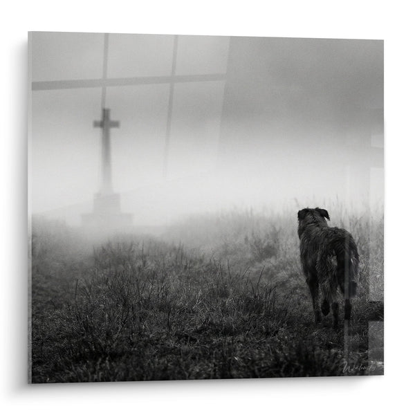 Cuadro de Perro en la Niebla Frente a una Cruz - Melancolía Matinal - Edición Pastor Picard