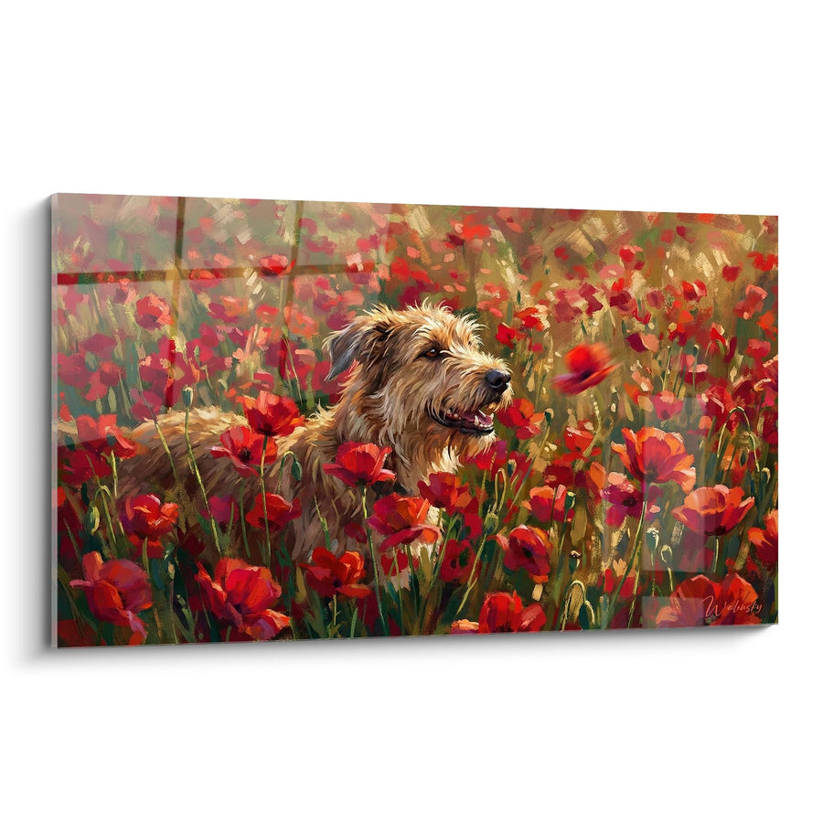 Tableau Chien dans un Champ de Coquelicots Rouge - Bonheur Champêtre - Edition Berger Picard