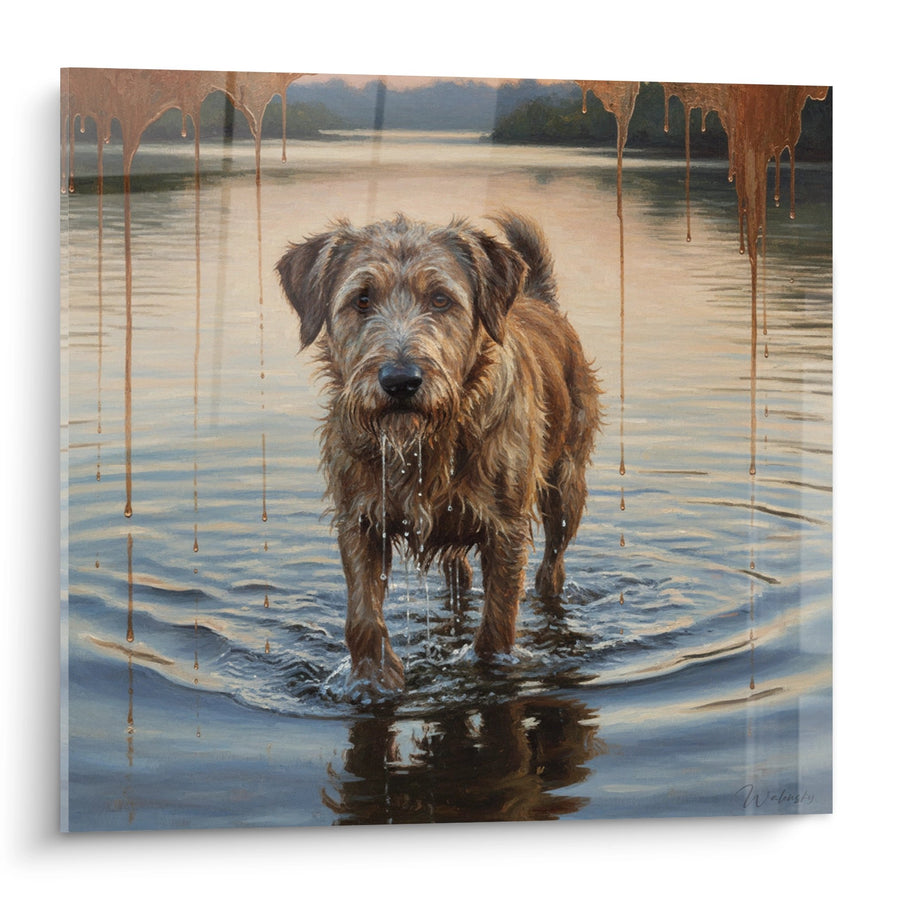 Tableau Chien dans l'Eau au Coucher du Soleil - Reflets Dorés - Edition Berger Picard