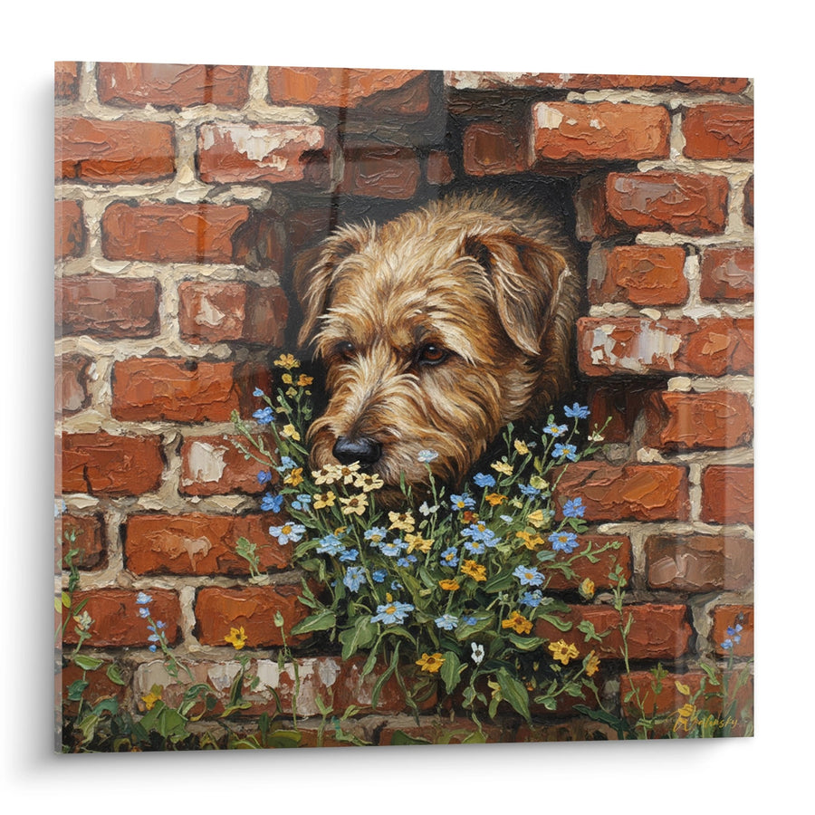 Tableau Chien aux Fleurs Sauvages contre Mur de Briques - Curiosité Florale - Edition Berger Picard