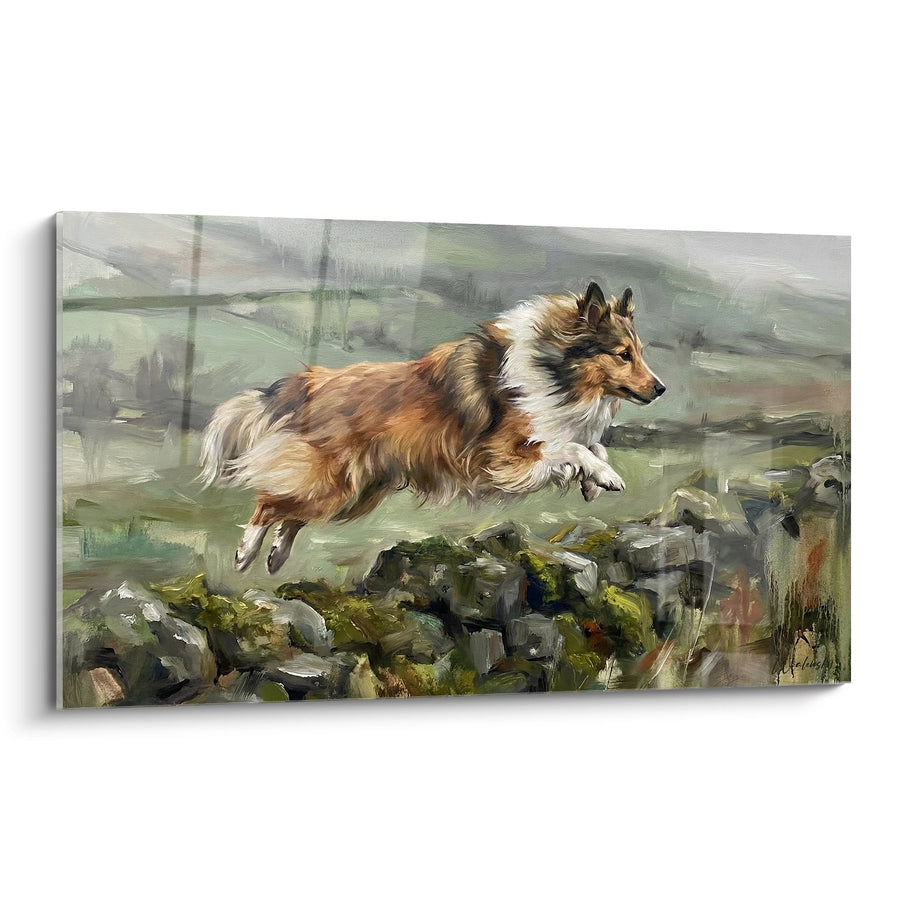 Tableau Berger des Shetland Bondissant sur Rochers Moussus - Élan Sauvage - Edition Berger des Shetland
