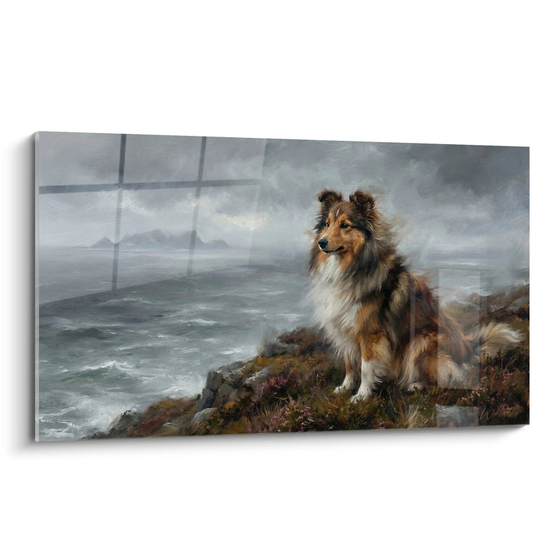Shetland Schäferhund Tricolor auf felsiger Küste - Wächter der Klippen - Shetland Schäferhund Edition