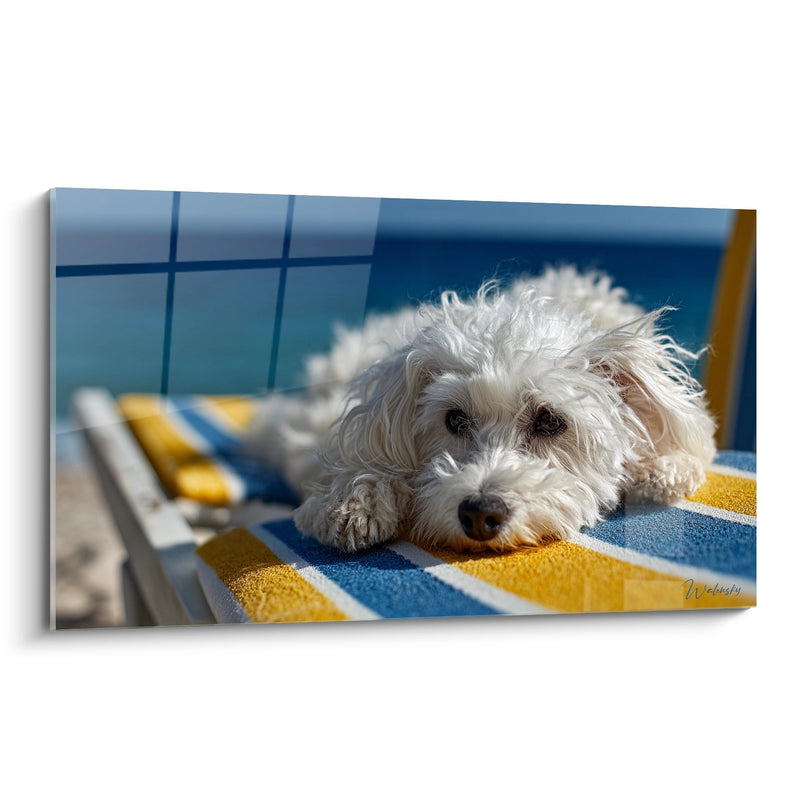 Bichon Frisé Gemälde auf gestreiftem Handtuch liegend - Sommerliche Sanftheit - Bichon Frisé Edition