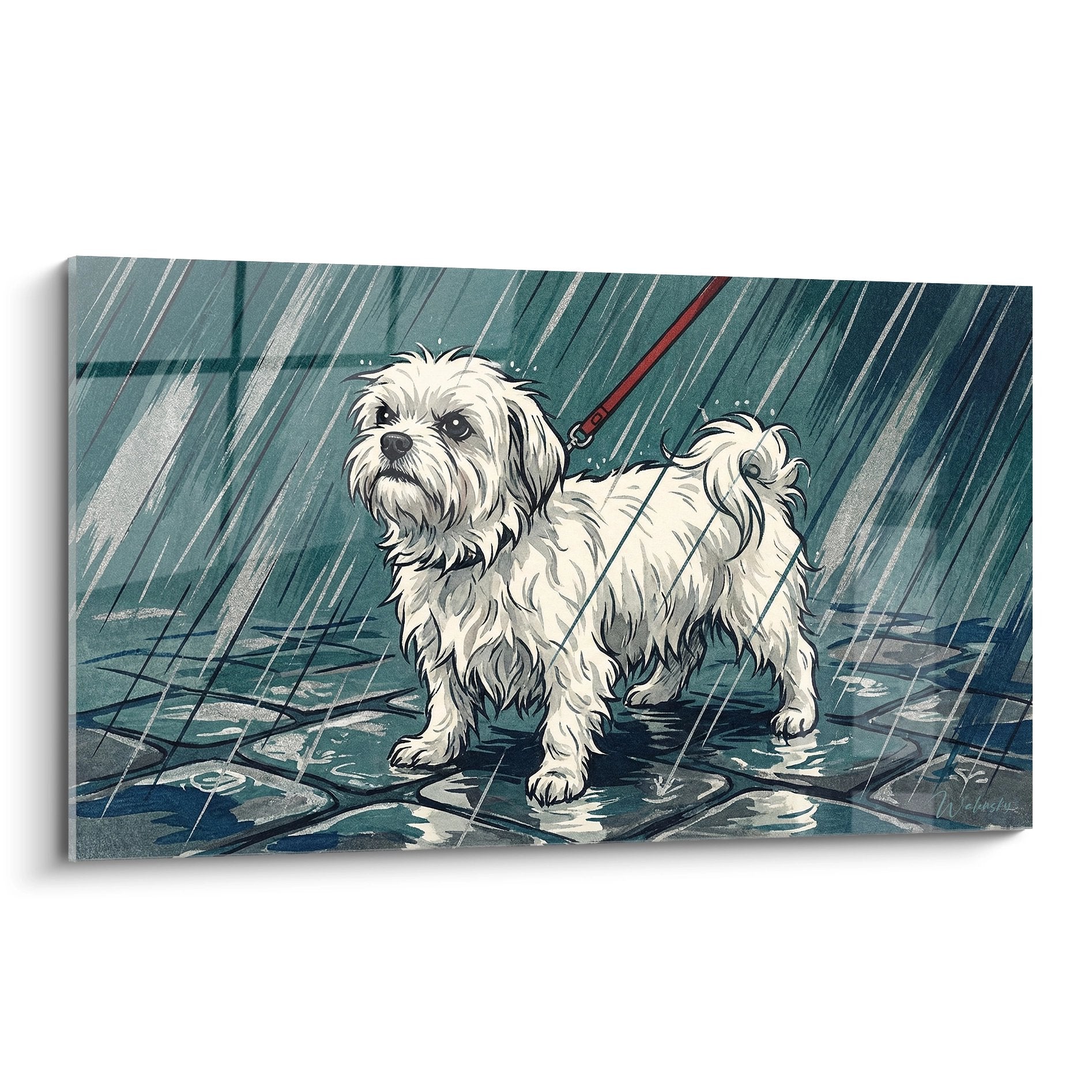 Bichon Maltais blanc sous la pluie sur pavés mouillés avec laisse rouge, tableau art mural chien