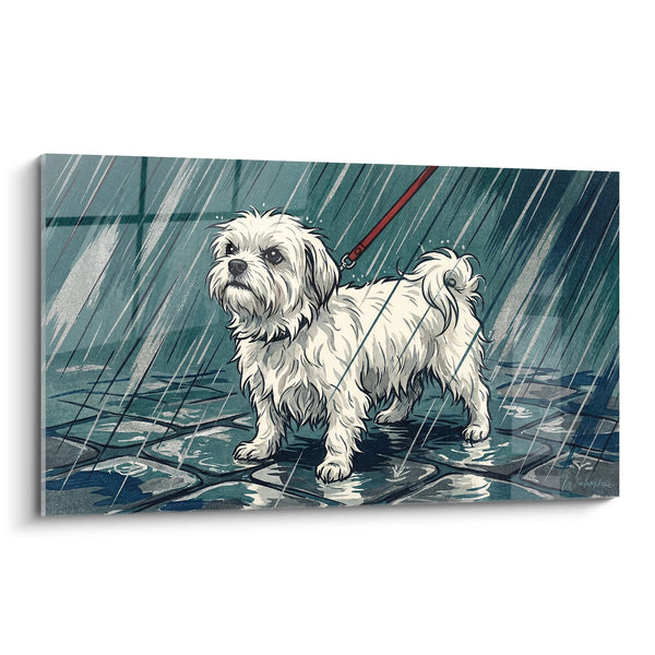 Cuadro de Perro Blanco Bajo la Lluvia en Pavimento Mojado - Ternura Bajo la Tormenta - Edición Bichón Maltés