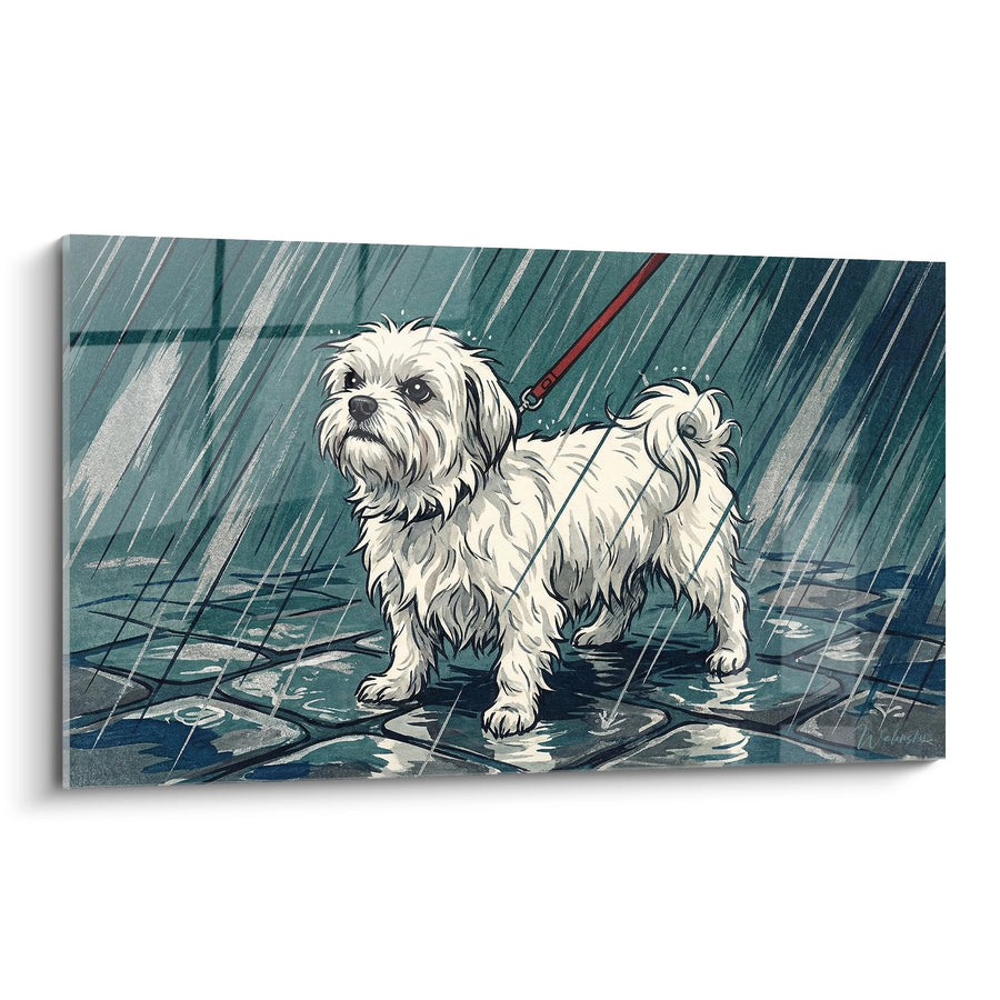 Cuadro de Perro Blanco Bajo la Lluvia en Pavimento Mojado - Ternura Bajo la Tormenta - Edición Bichón Maltés