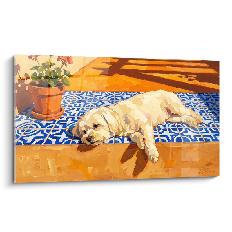 Tableau Bichon Maltais Endormi sur Carreaux Bleus - Sieste Méditerranéenne - Edition Bichon Maltais