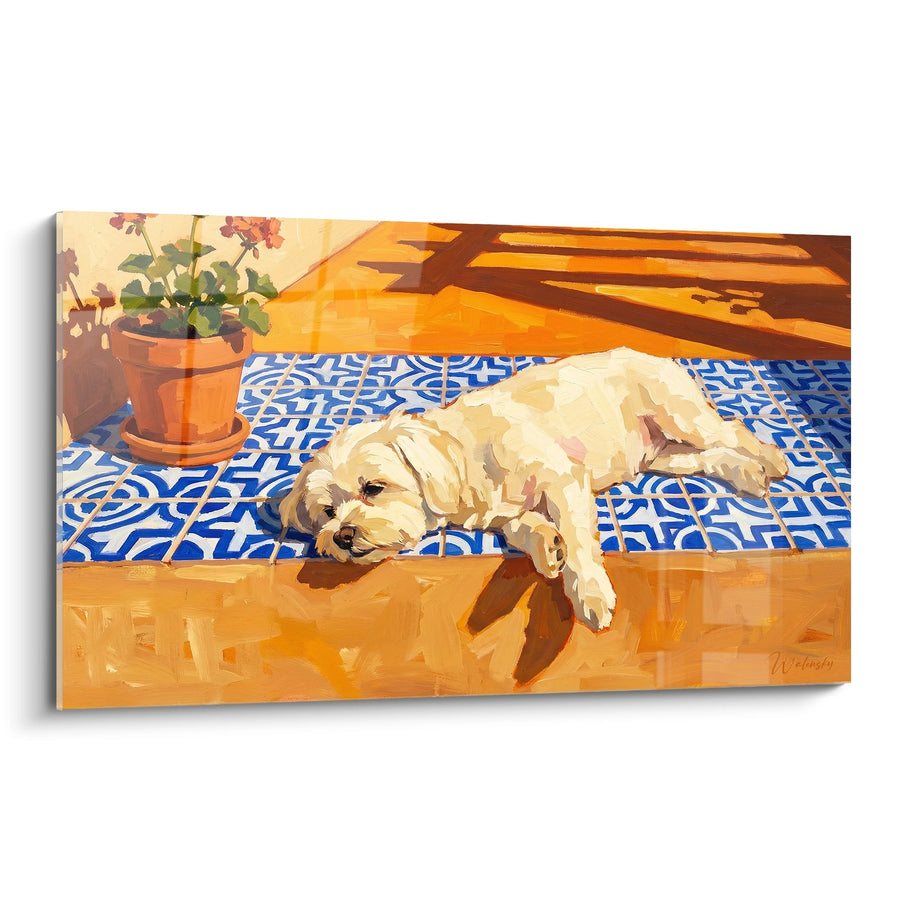 Schilderij Maltese Hond Slaapt op Blauwe Tegels - Mediterrane Siësta - Bichon Maltais Editie