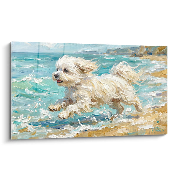 Cuadro de Bichón Maltés Corriendo en la Playa con el Viento en el Pelo - Libertad Marina - Edición Bichón Maltés