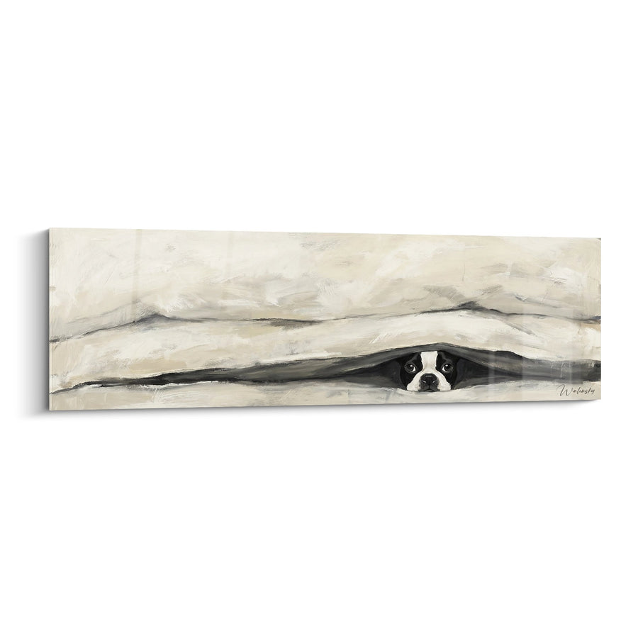 Tableau Boston Terrier Caché Sous les Couvertures - Regard Complice - Edition Boston Terrier