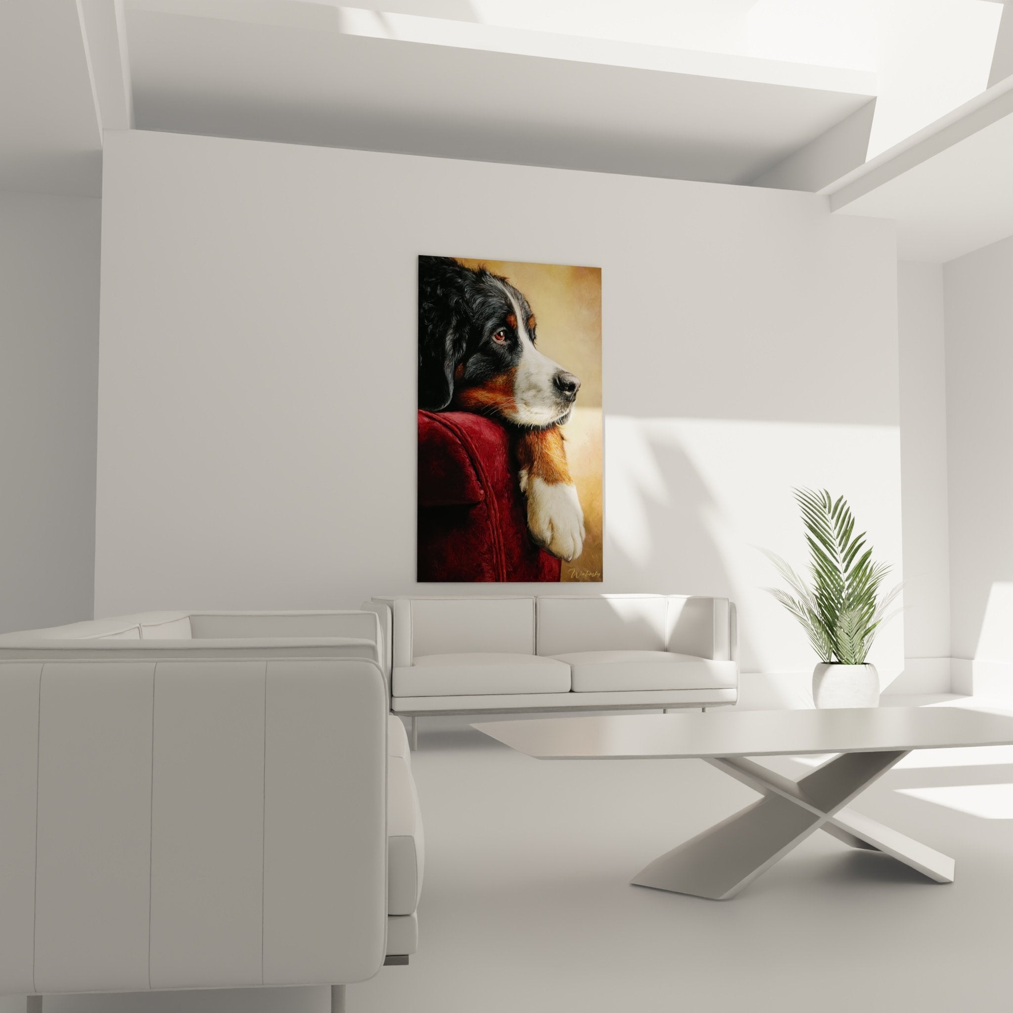 Close-up of the deep and melancholic gaze of the Bernese Mountain Dog in burgundy red jacket with refined details