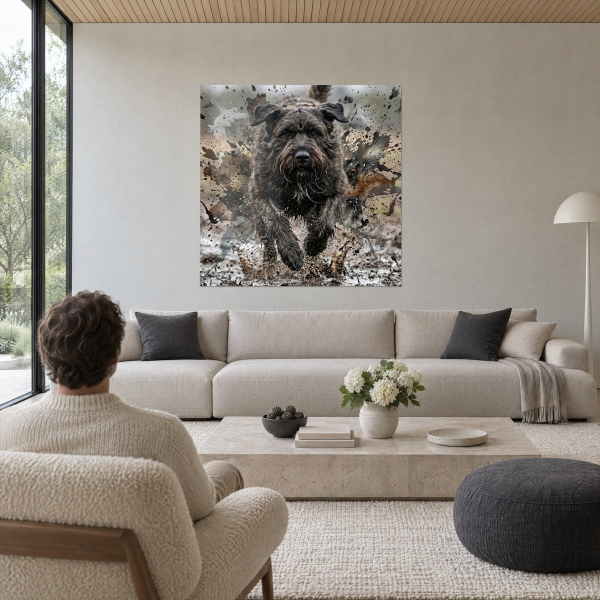 Quadro bovaro nero dal pelo zuppo che affonda nel fango, macchie marroni e grigie, sopra un divano in un soggiorno luminoso