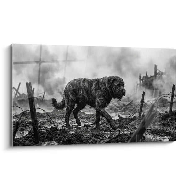 Hundegemälde auf Schlachtfeld in Schwarz-Weiß - Überlebender der Schützengräben - Belgischer Schäferhund Edition