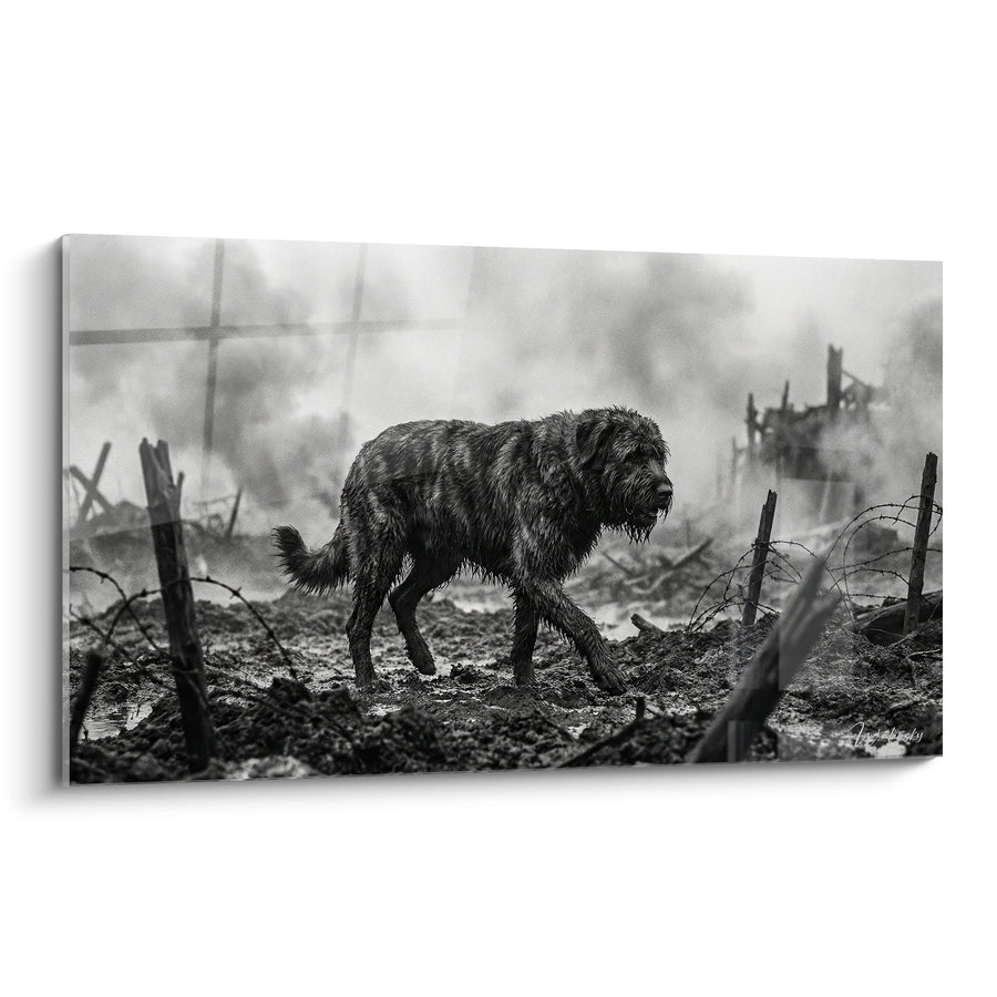 Tableau Chien sur Champ de Bataille en Noir et Blanc - Survivant des Tranchées - Edition Bouvier des Flandres