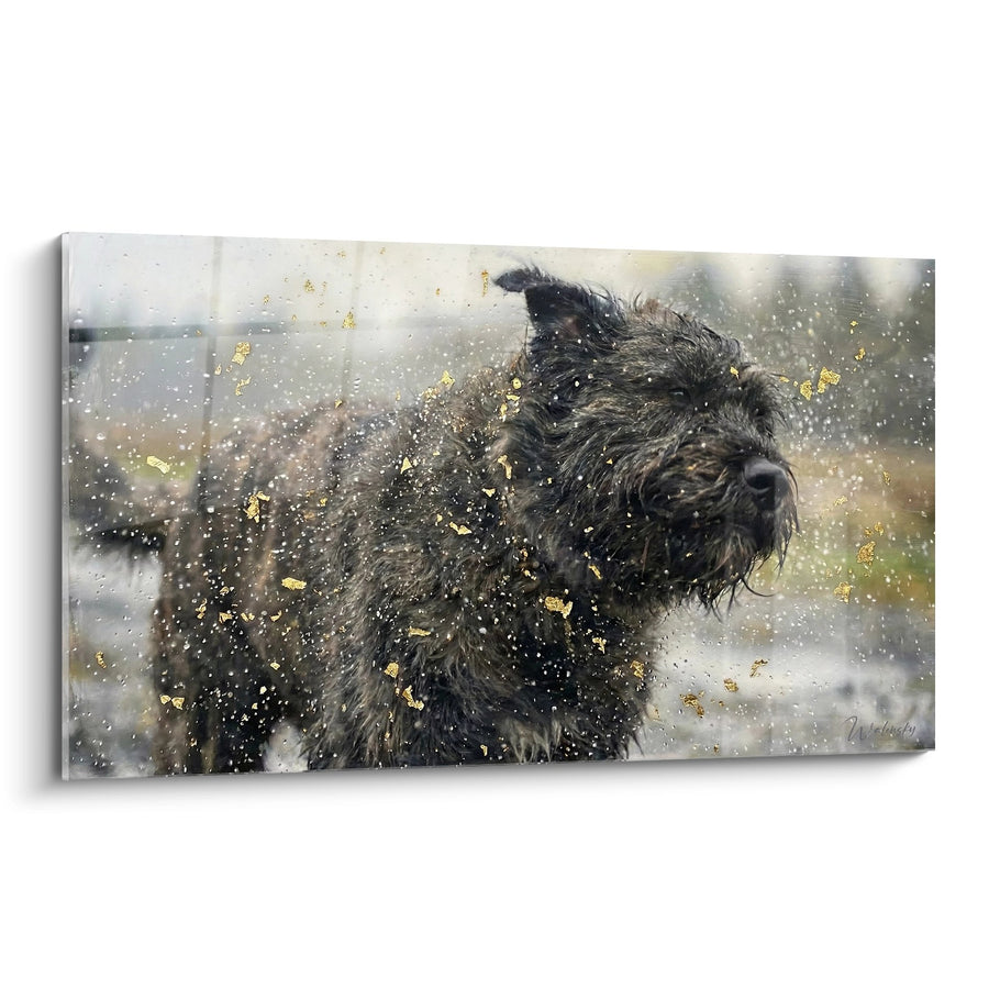 Tableau Chien Mouillé aux Éclats Dorés - Secousse Magique - Edition Bouvier des Flandres