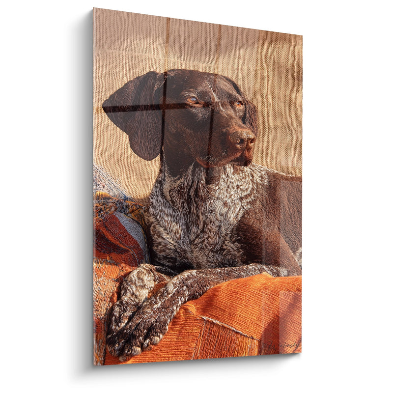 Caramel-Toned Pointer Dog Wall Art on Orange Sofa - Contemplative Portrait - German Pointer Edition