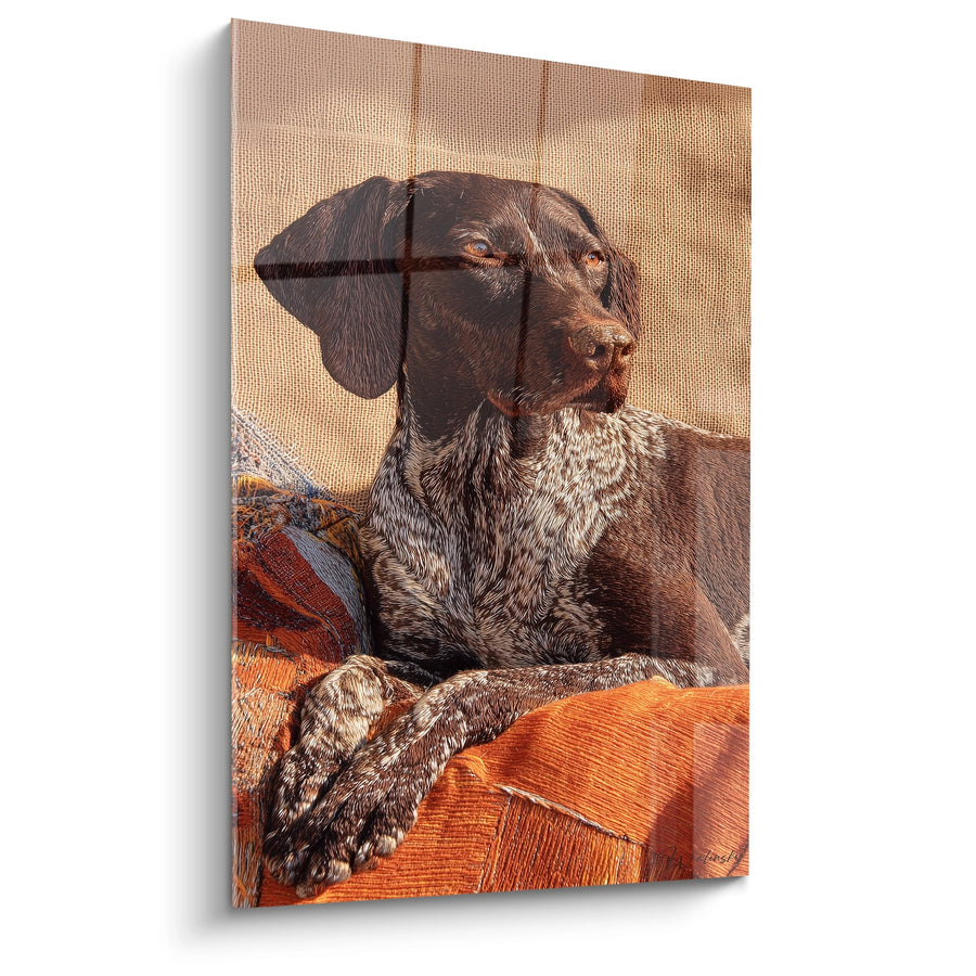 Tableau Chien Braque aux Tons Caramél sur Canapé Orange - Portrait Contemplatif - Edition Braque Allemand